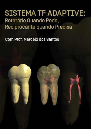 Cover for Sistema TF Adaptive: rotatório quando pode, reciprocante quando precisa