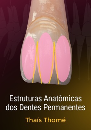 Cover for Estruturas Anatômicas dos Dentes Permanentes