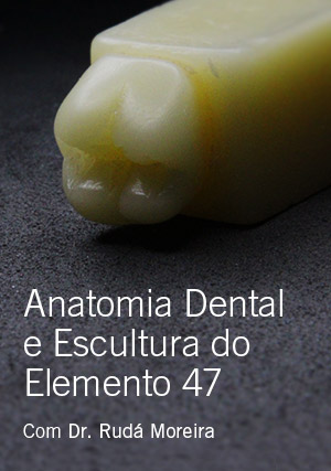 Cover for Anatomia Dental e Escultura do Elemento 47