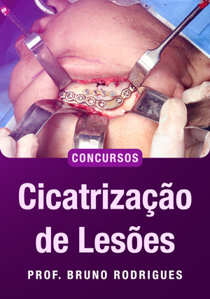 Cover for Cicatrização de Lesões para Concursos