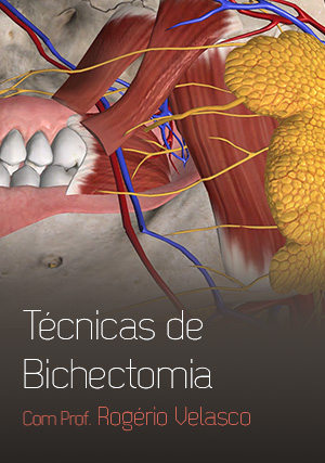 Cover for Como realizar Técnicas de Bichectomia com segurança