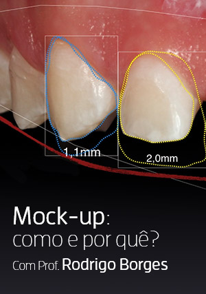 Cover for Mock-Up: Como e Por Quê?