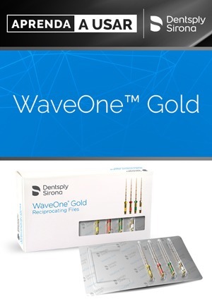 Cover for Aprenda a Usar: WaveOne Gold